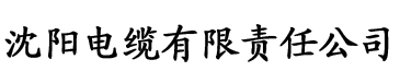 大香蕉日韩电影电缆厂logo